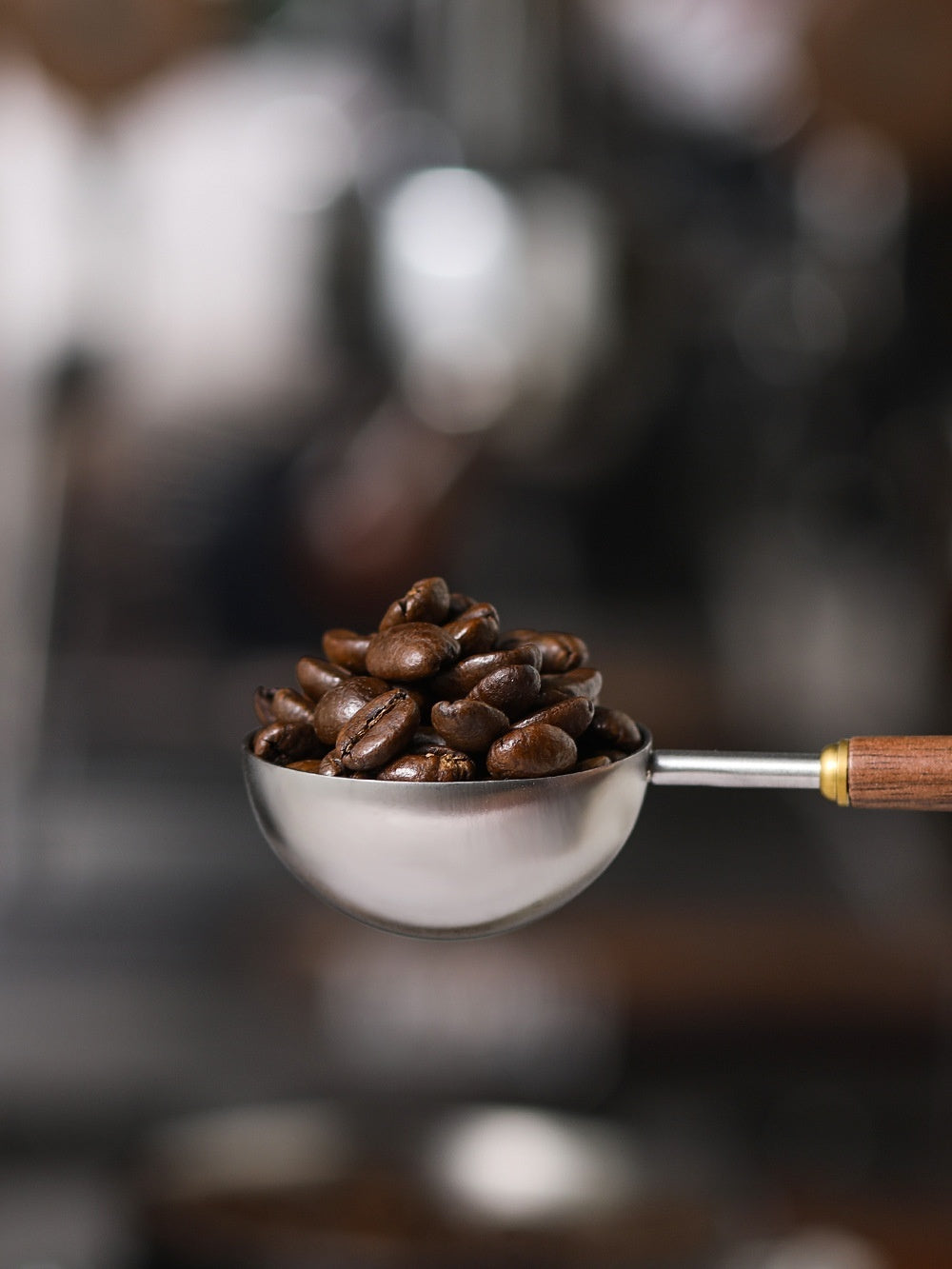 Stainless Steel Coffee Measuring Spoon | 10g Precision Scoop