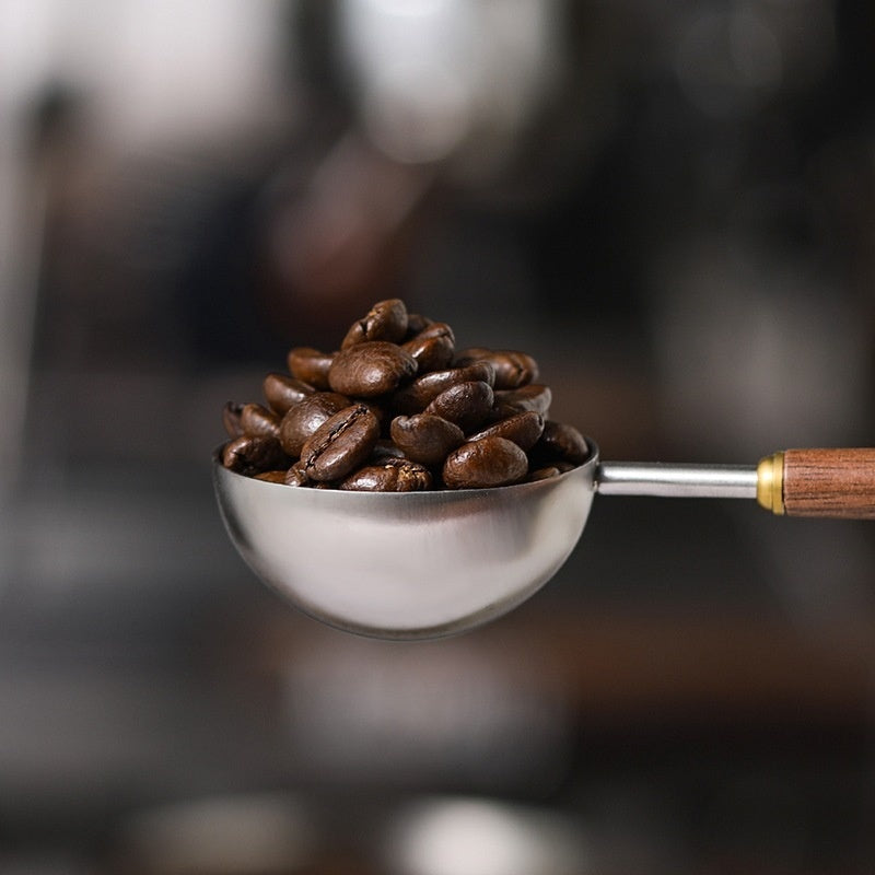 Stainless Steel Coffee Measuring Spoon | 10g Precision Scoop